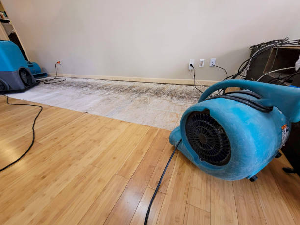 Professional Structural Drying technician working in Union City, PA